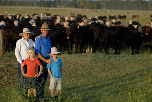 The conscious beef farmers