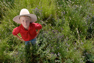 Patrick in perennial pasture