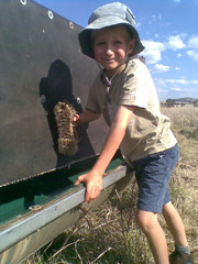 Reilly helping clean one of the portable water troughs