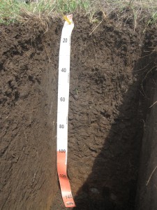 Soil pit