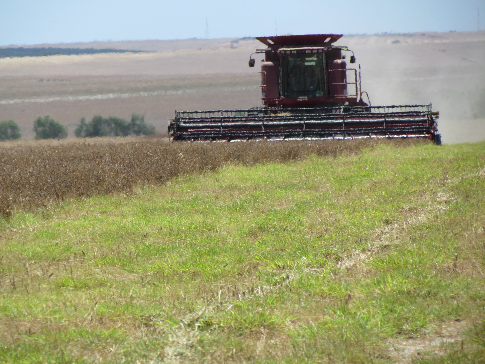 Crop harvest