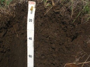 Soil pit