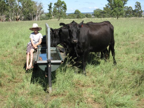 Patrick with Portable Trough