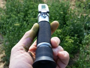 Refractometer look through