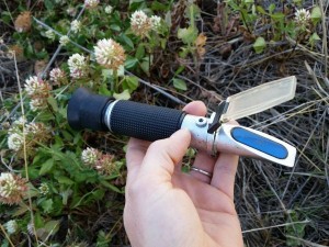 refractometer