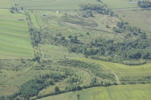 New Forest Farm by air - again