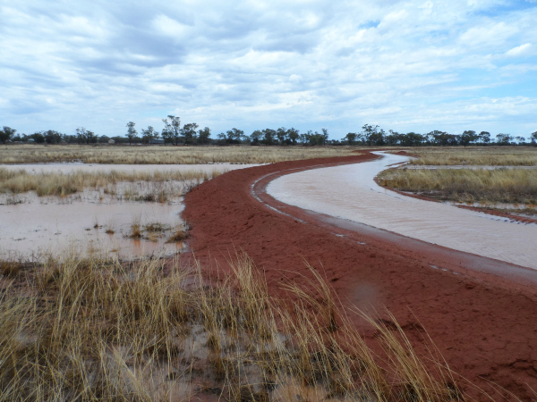 water spreading bank after rain mid res