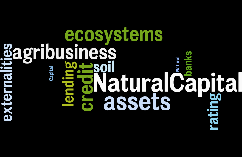 Natural capital 2